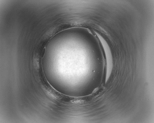 X0000075820452200609291415