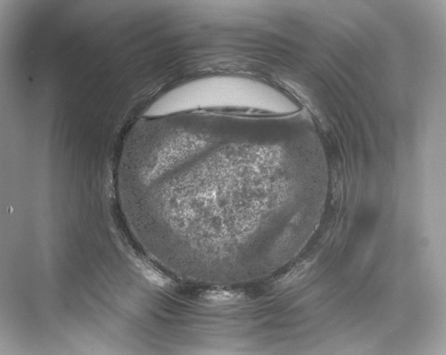 X0000075820453200609291415