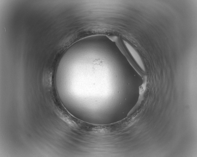 X0000075820454200609291415