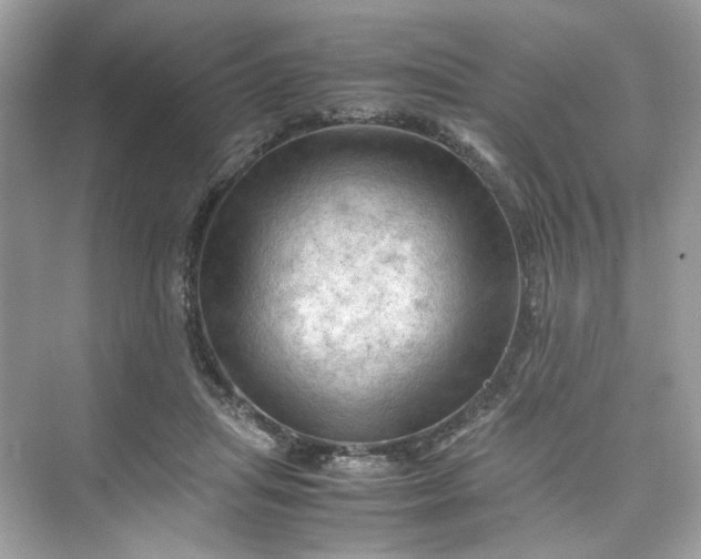 X0000075820455200609291415