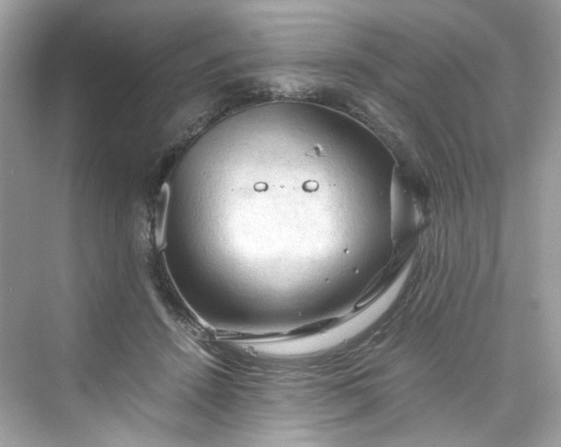 X0000075820456200609291415