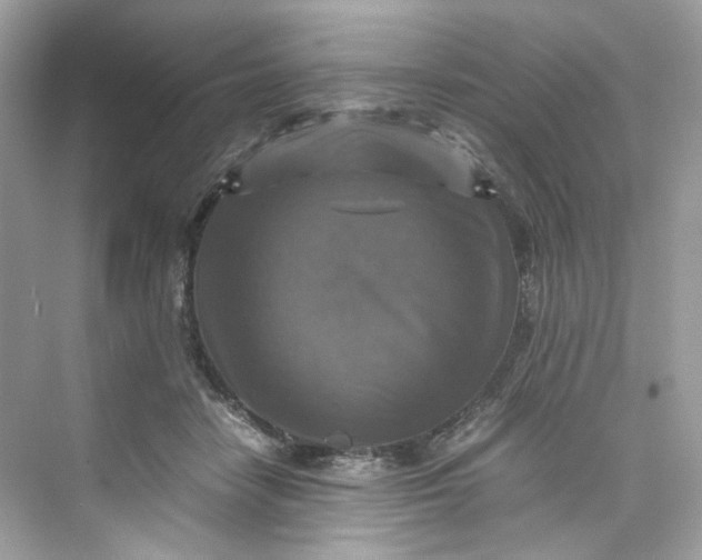 X0000075820458200609291415