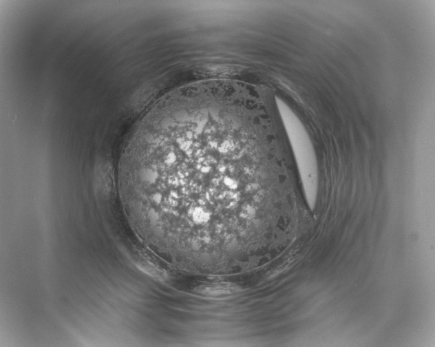 X0000075820459200609291415