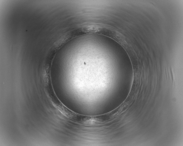 X0000075820460200609291415