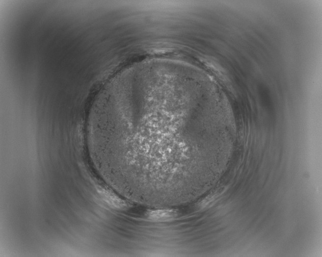 X0000075820461200609291415