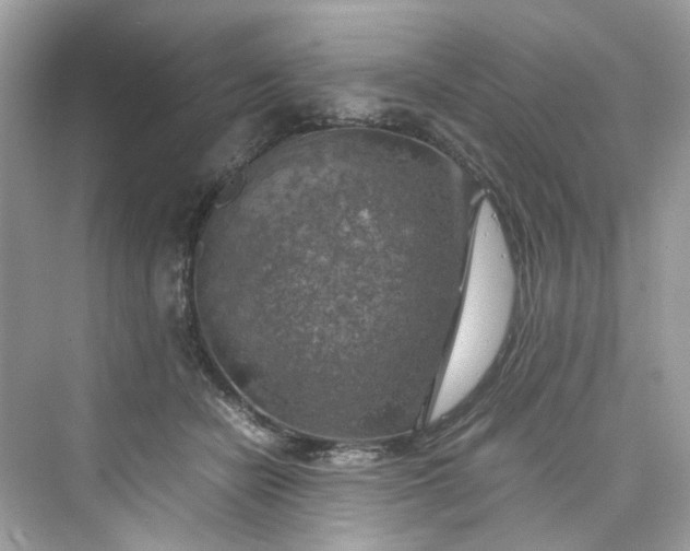 X0000075820462200609291415