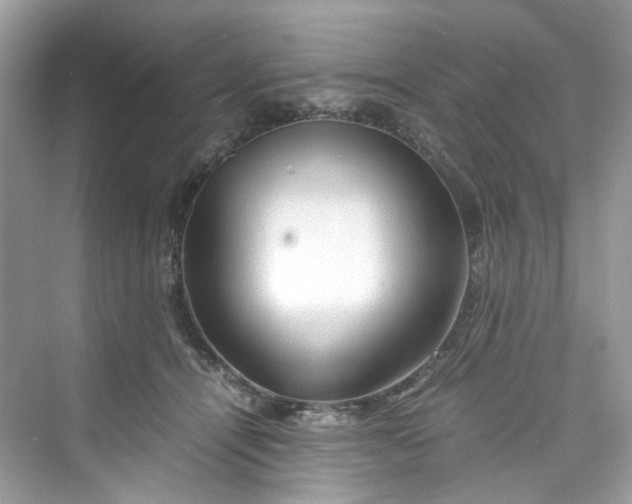 X0000075820464200609291415