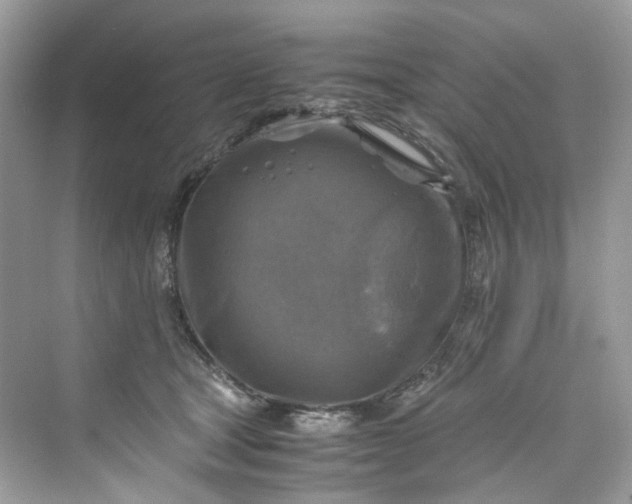 X0000075820465200609291415