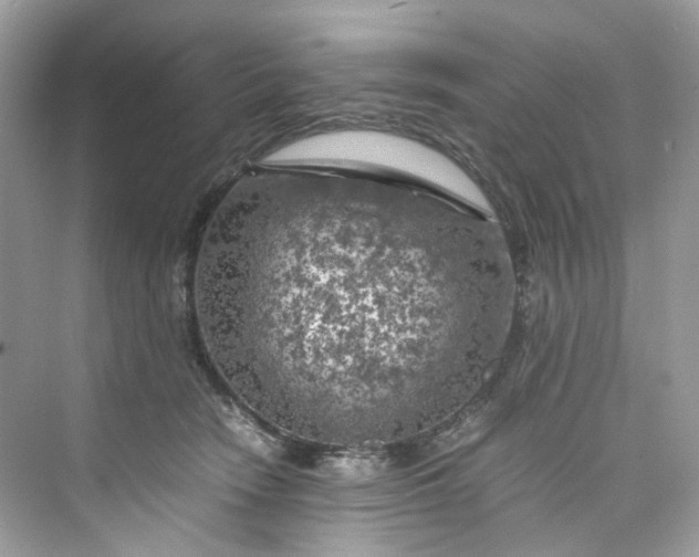 X0000075820466200609291415