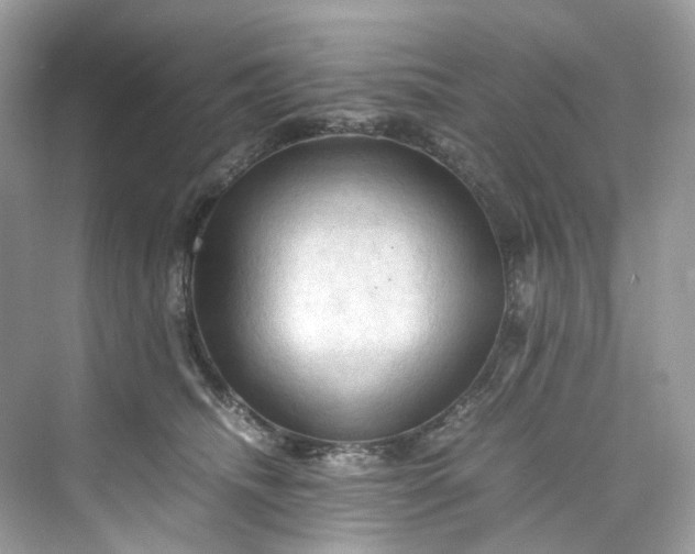 X0000075820468200609291415