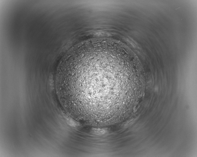 X0000075820469200609291415