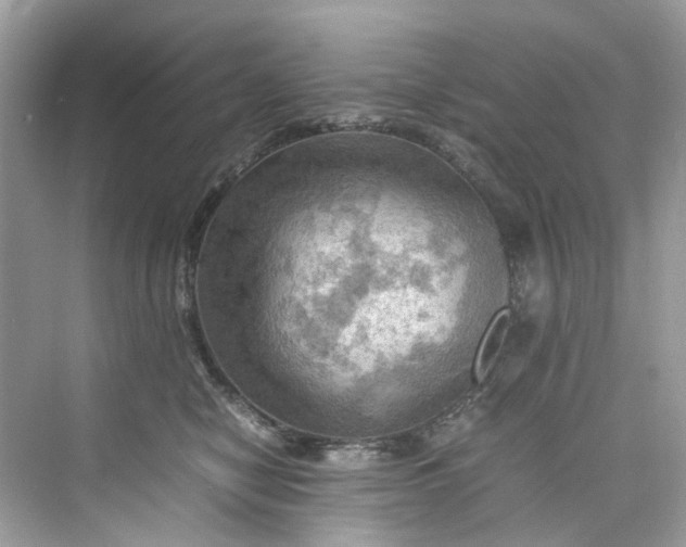 X0000075820470200609291415