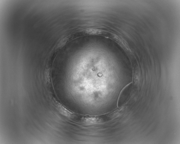 X0000075820473200609291415