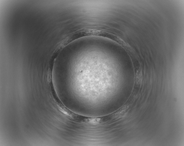 X0000075820474200609291415