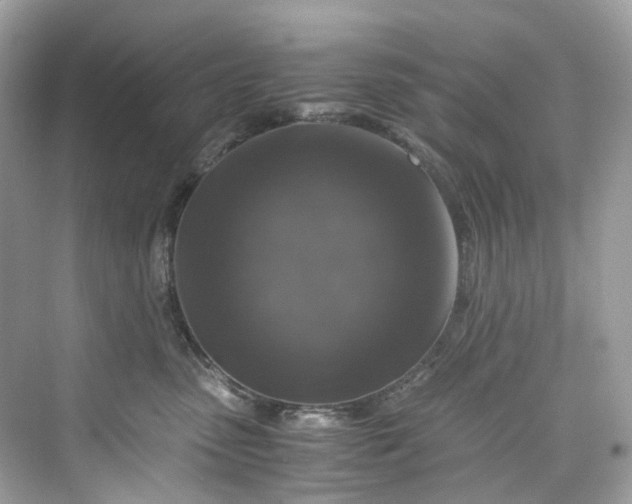 X0000075820475200609291415