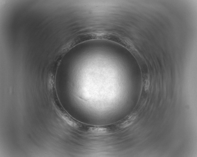 X0000075820476200609291415