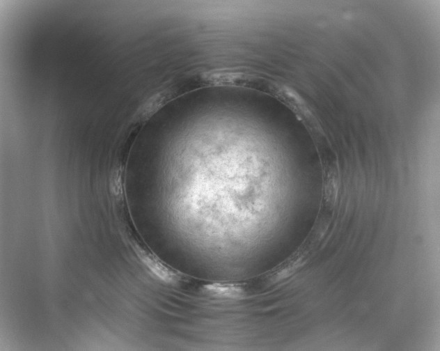 X0000075820477200609291416