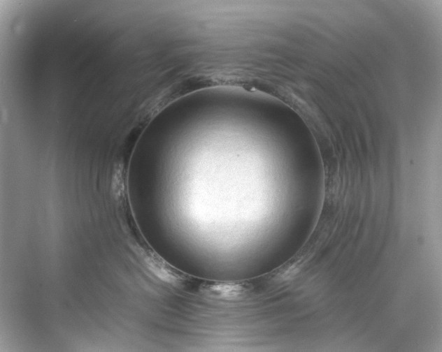 X0000075820478200609291416