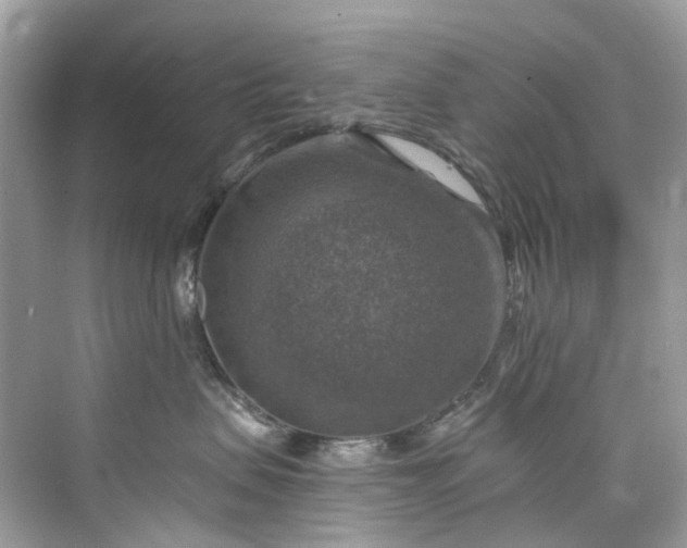 X0000075820479200609291416