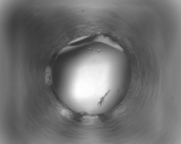 X0000075820480200609291416