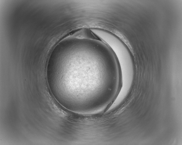 X0000075820481200609291415