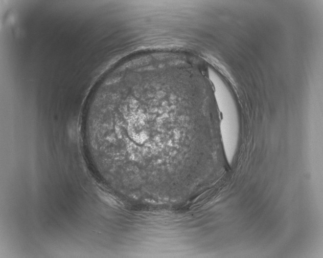 X0000075820483200609291415