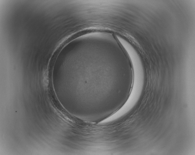 X0000075820484200609291415