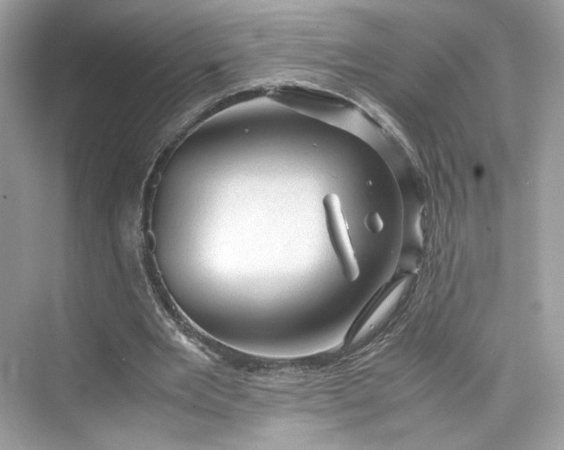 X0000075820485200609291415