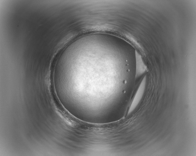 X0000075820486200609291415