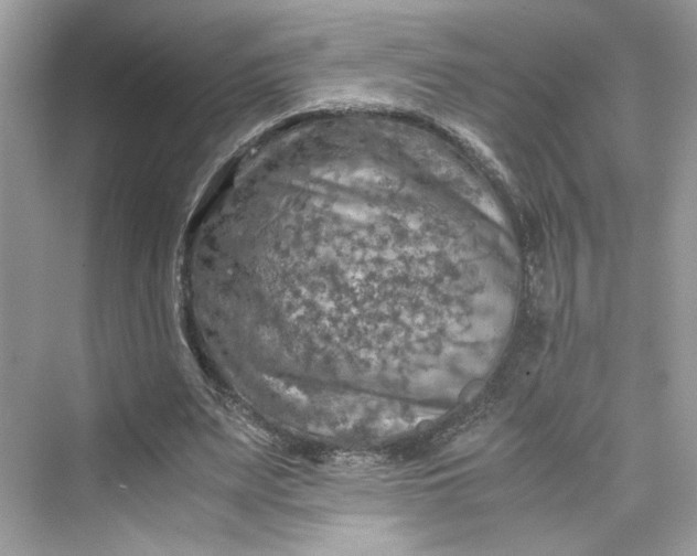 X0000075820487200609291415