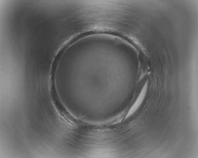 X0000075820488200609291415