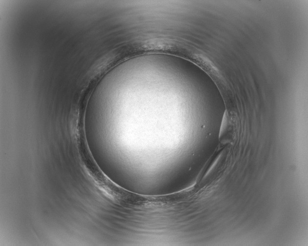 X0000075820490200609291415