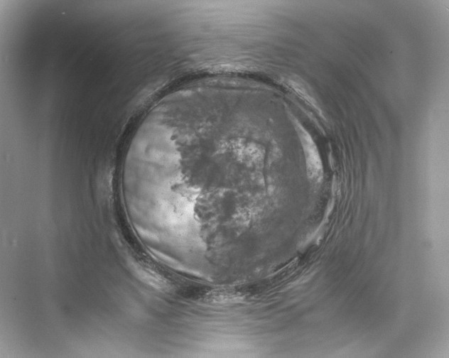 X0000075820491200609291415