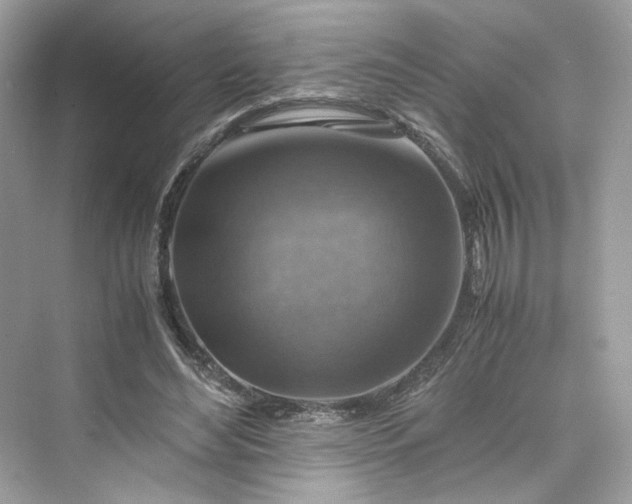 X0000075820492200609291415