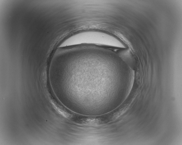 X0000075820493200609291415