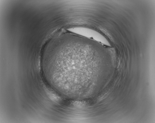 X0000075820494200609291415