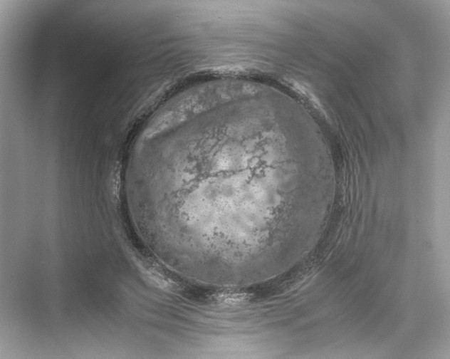 X0000075820495200609291415