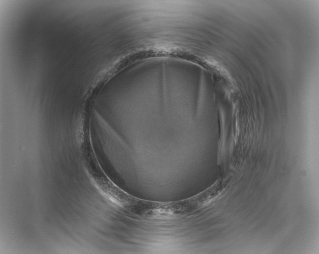 X0000075820496200609291415