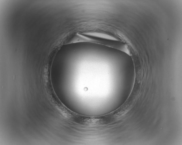 X0000075820497200609291414