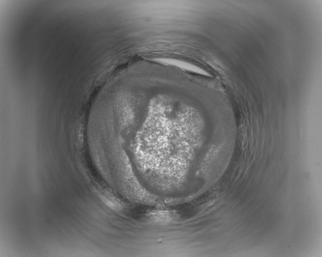 X0000075820499200609291414