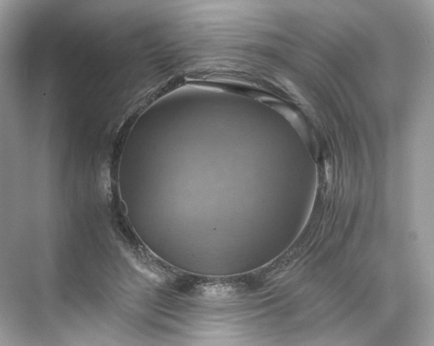 X0000075820500200609291414