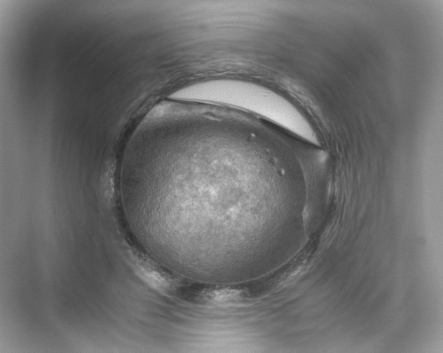 X0000075820501200609291414