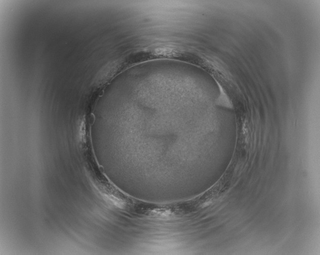 X0000075820502200609291414