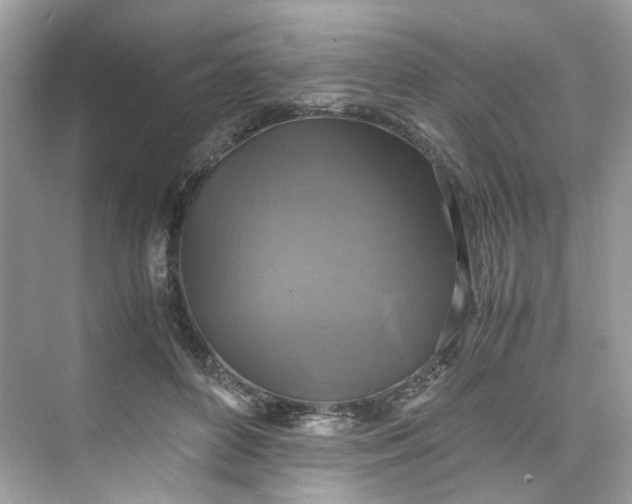 X0000075820504200609291414