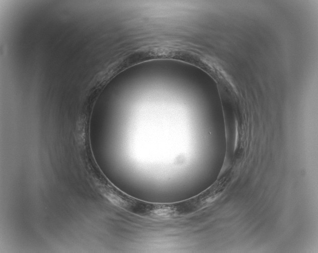 X0000075820505200609291414