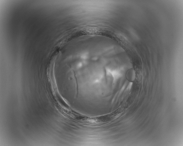 X0000075820507200609291414