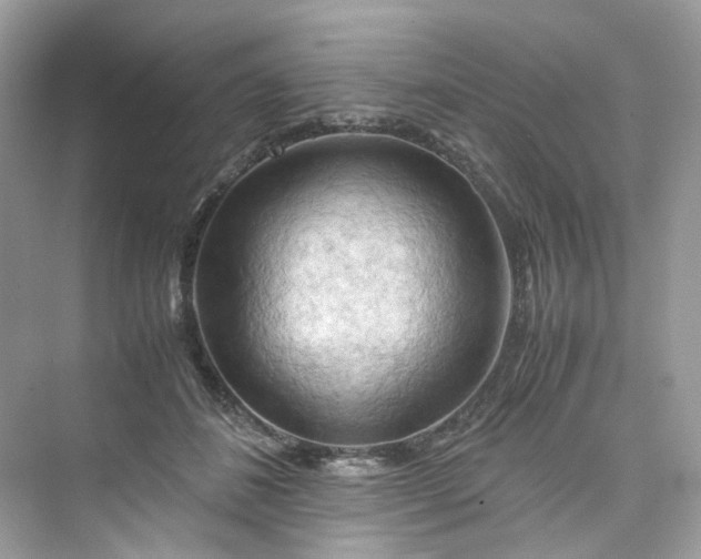 X0000075820508200609291414