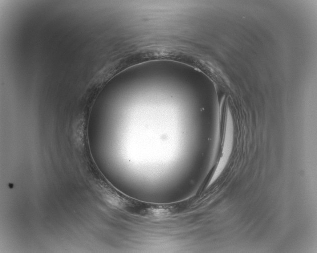 X0000075820509200609291414