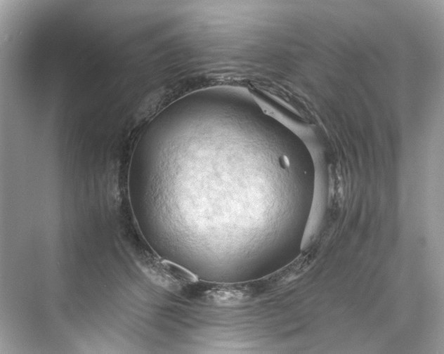 X0000075820512200609291414