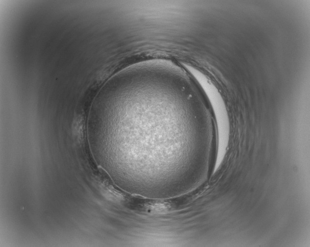 X0000075820513200609291414